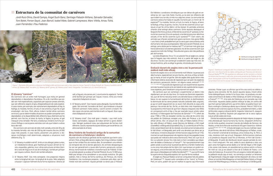 Grans mamífers de Catalunya i Andorra Estructura de la comunitat de carnívors