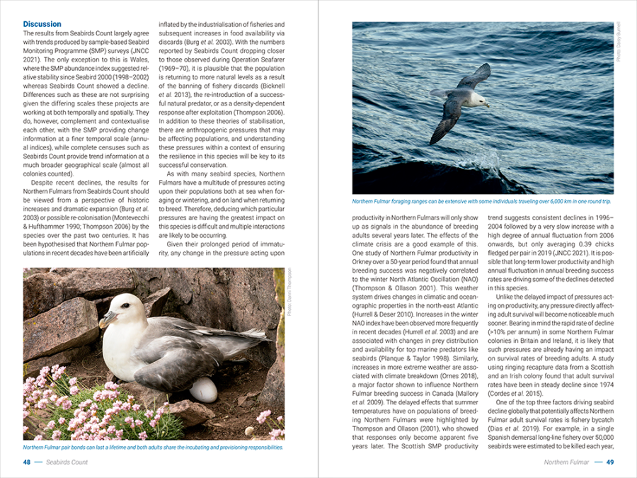 Seabirds Count Lynx Nature Books