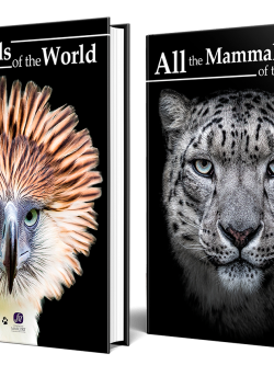 All the Birds and Mammals of the World - Lynx Nature Books