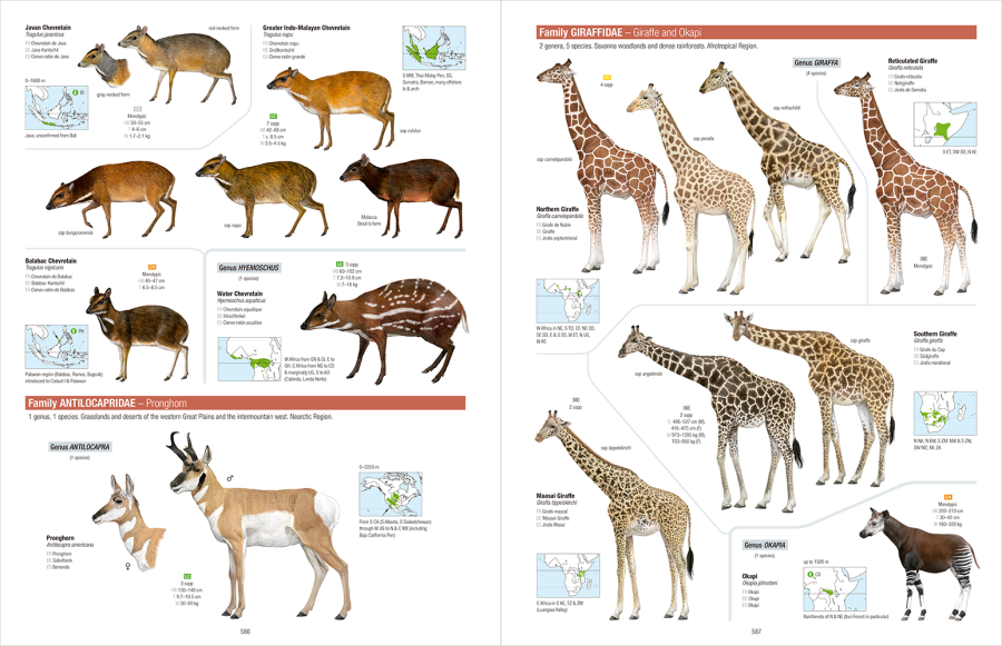 All the Mammals of the World - Lynx Nature Books