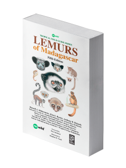 Lemurs of Madagascar | Lynx Nature Books