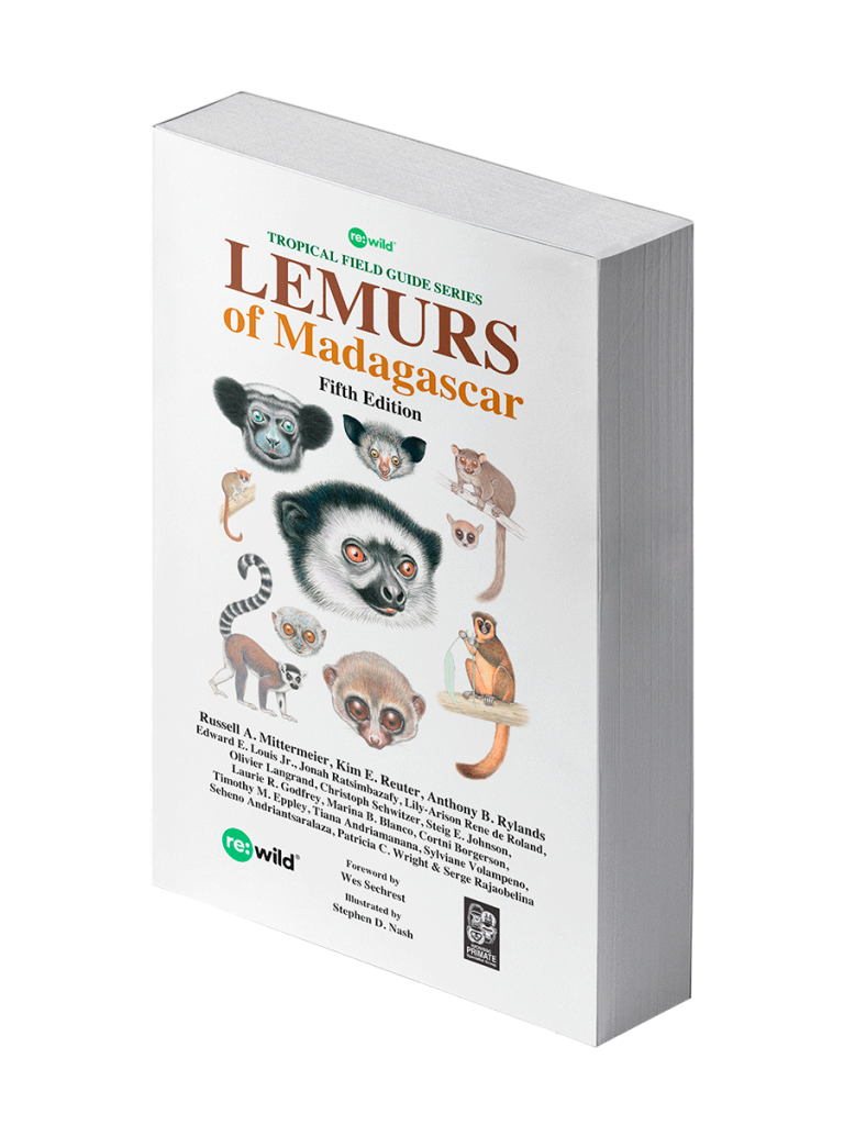 Lemurs of Madagascar | Lynx Nature Books