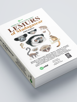 Lemurs of Madagascar | Lynx Nature Books