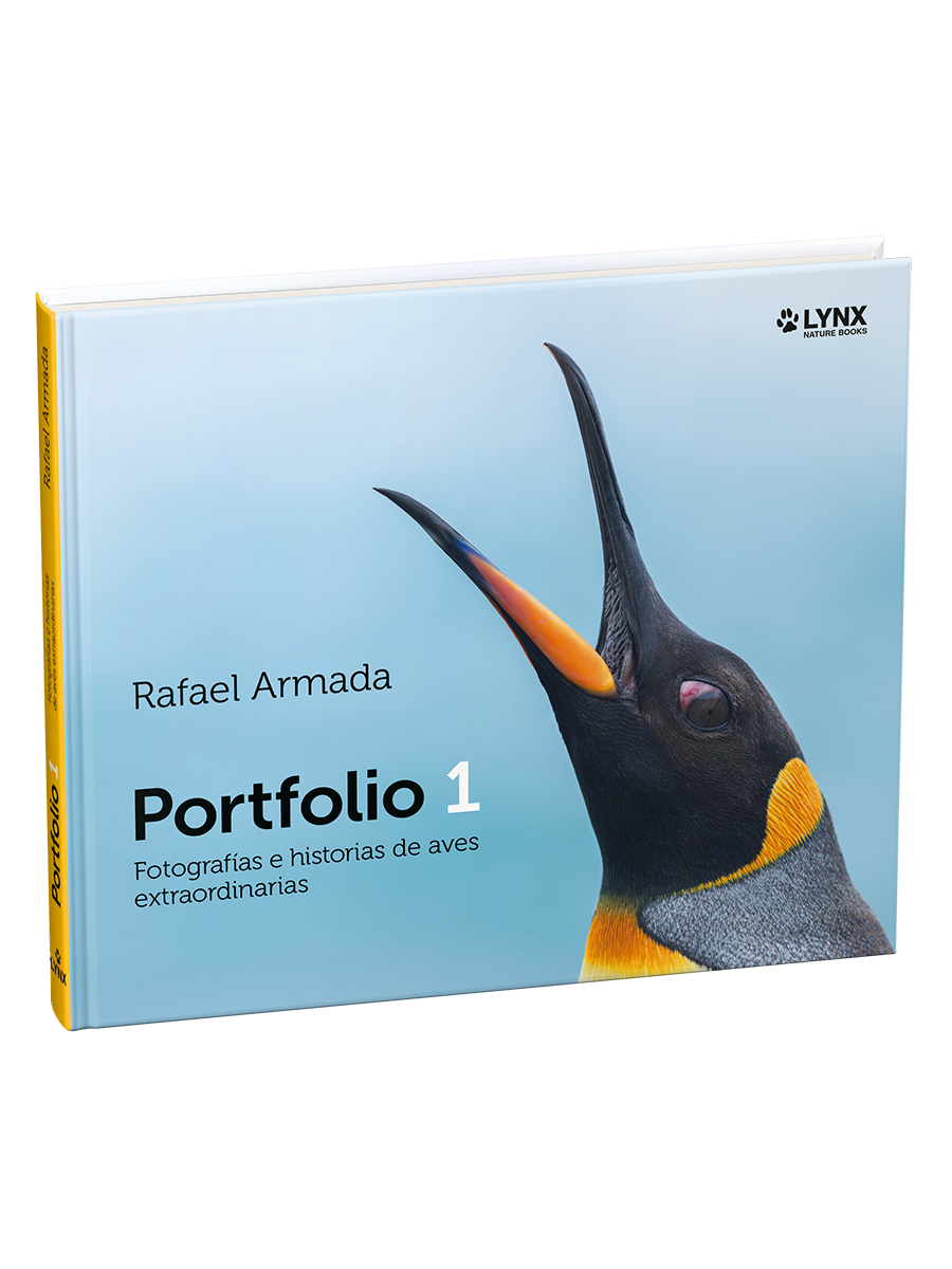 Portfolio 1 Fotografías e historias de aves extraordinarias | Rafael Armada | Lynx Nature Books