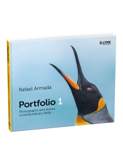 Portfolio 1 Photographs and stories of extraordinary birds | Rafael Armada | Lynx Nature Books