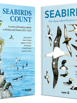 Seabirds & Seabirds Count | Lynx Nature Books