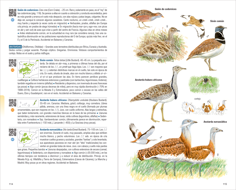 Aves de España | nueva edición | Eduardo de Juana y Juan Varela | Lynx Nature Books