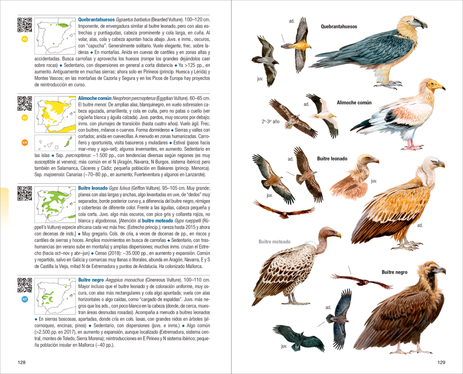 Aves de España | nueva edición | Eduardo de Juana y Juan Varela | Lynx Nature Books