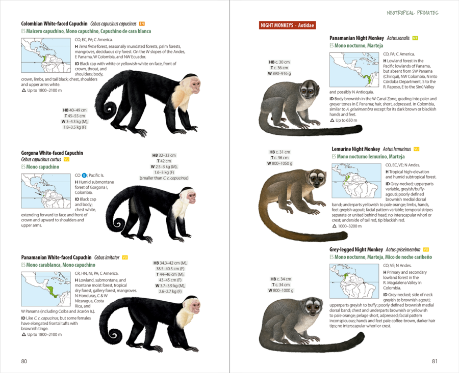 Neotropical Primates | Cebus | Aotus | Lynx Nature Books