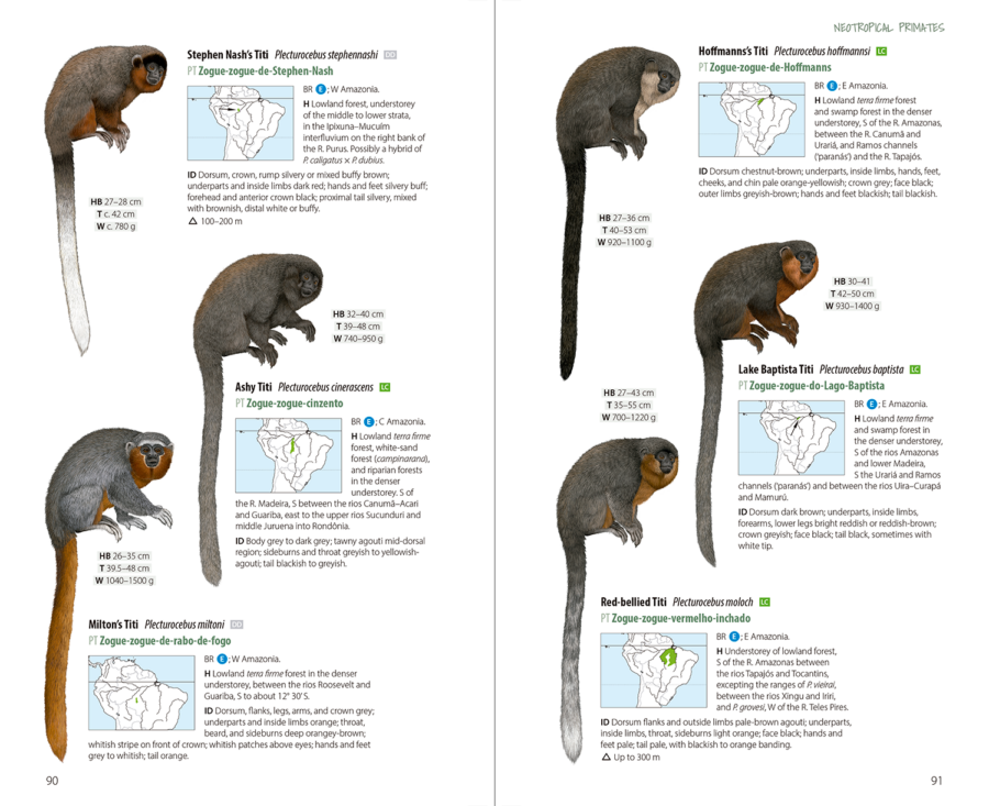 Neotropical Primates | Plecturocebus | Lynx Nature Books