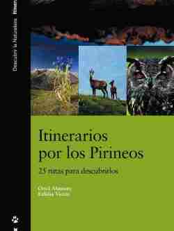 Itinerarios por los Pirineos book cover image