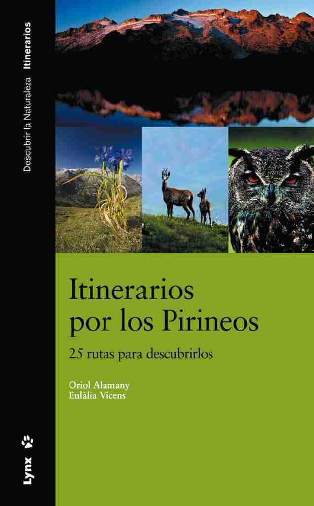 Itinerarios por los Pirineos book cover image