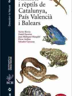 Amfibis i rèptils de Catalunya, País Valencià i Balears book cover image