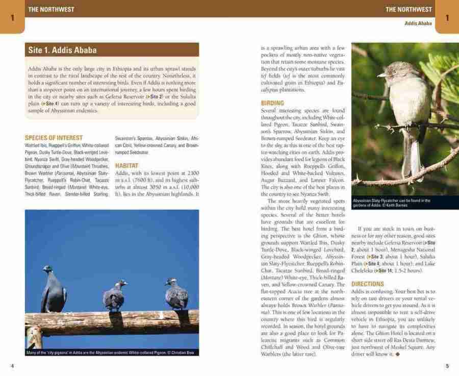 Birding Ethiopia sample page