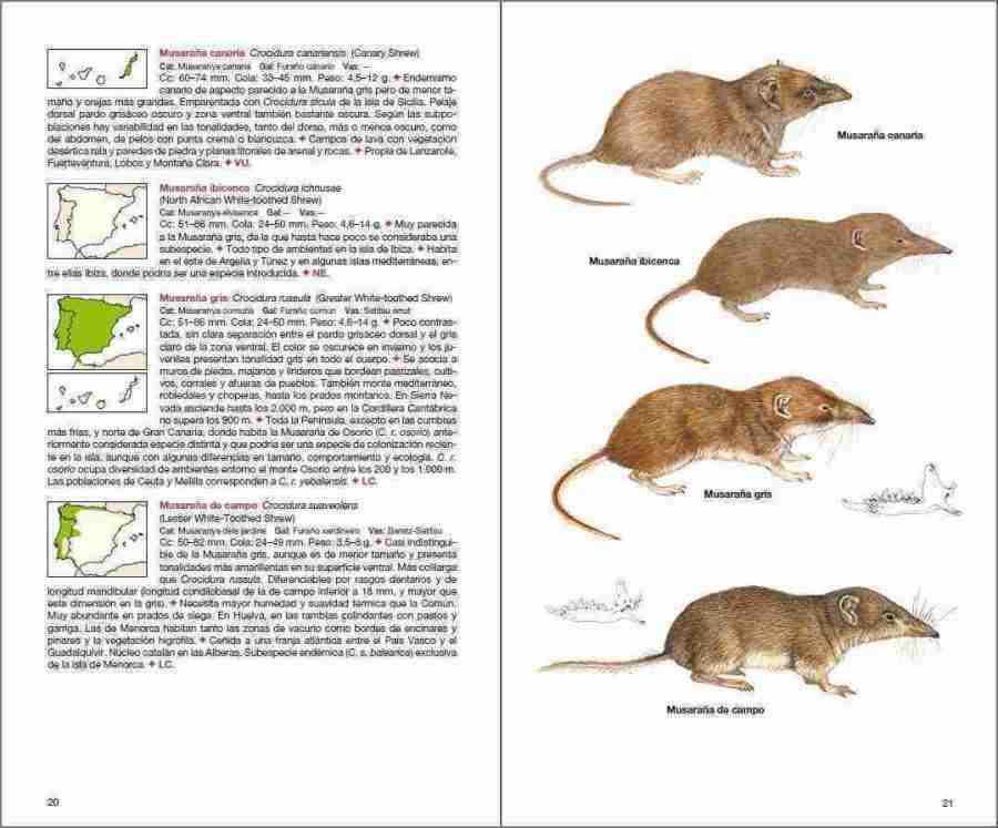 Mamíferos de España sample page