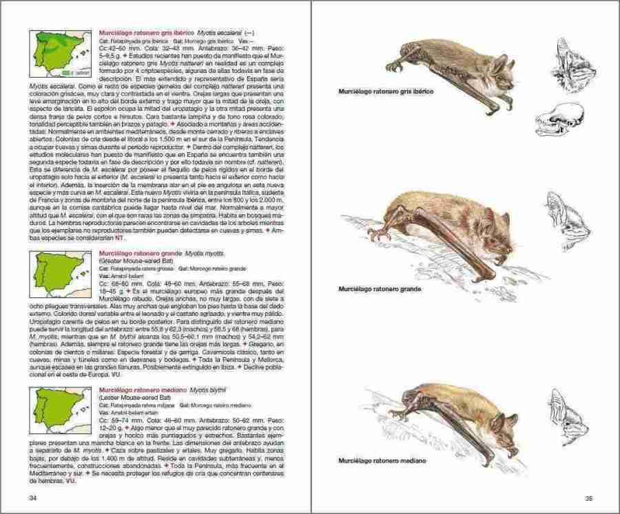 Mamíferos de España sample page