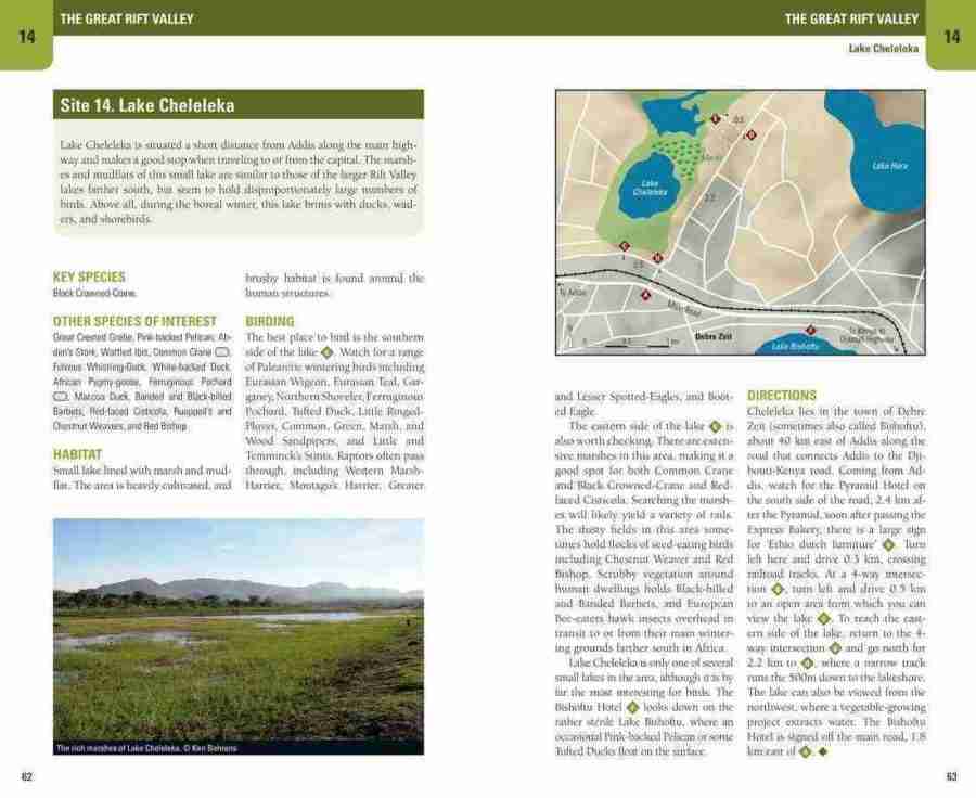 Birding Ethiopia sample page