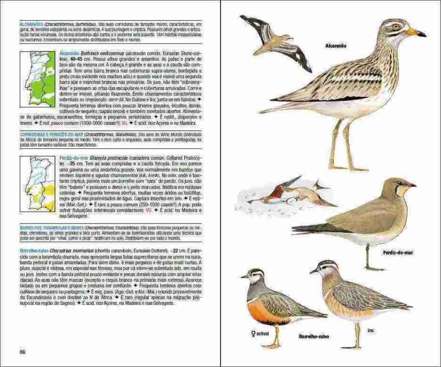 Aves de Portugal sample page