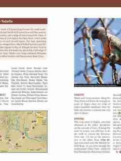 Birding Ethiopia sample page