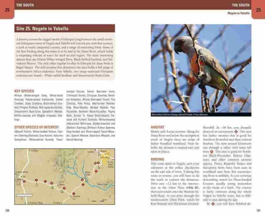 Birding Ethiopia sample page