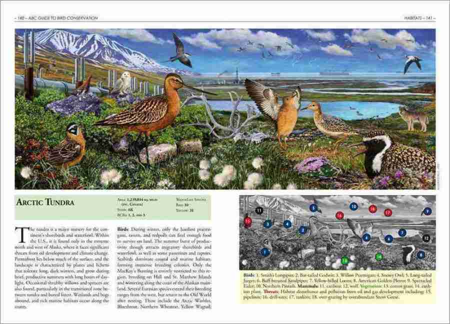 The American Bird Conservancy Guide to Bird Conservation sample page