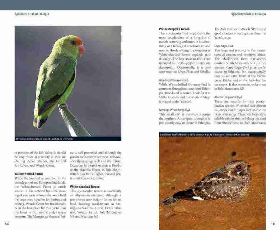 Birding Ethiopia sample page