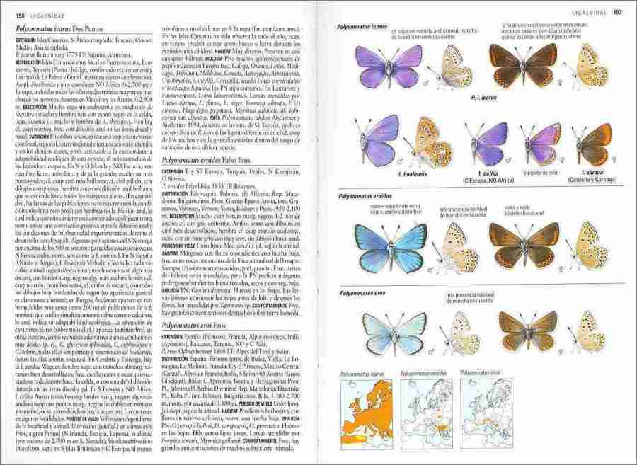 Mariposas de España y Europa sample page