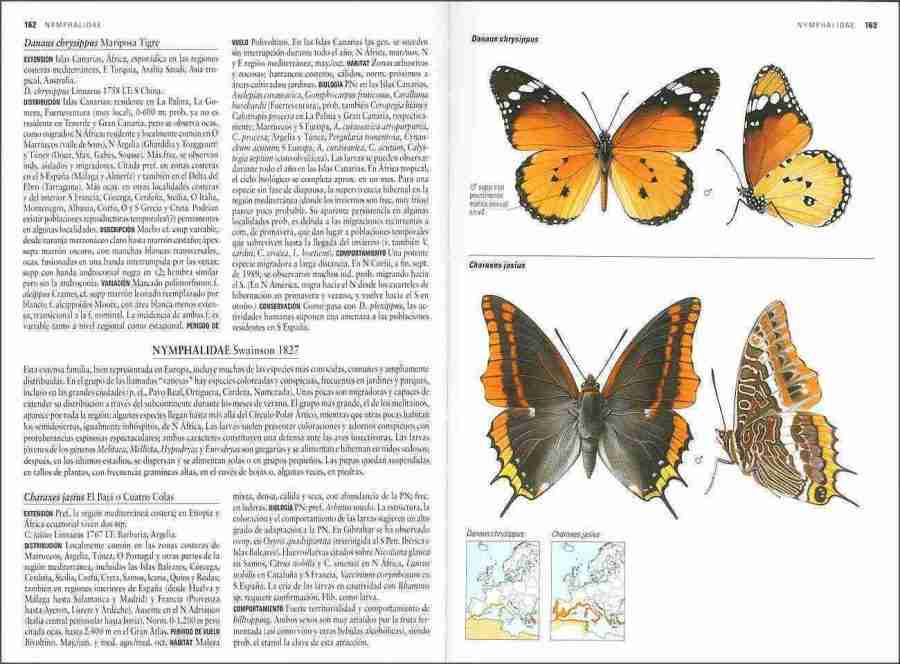 Mariposas de España y Europa sample page