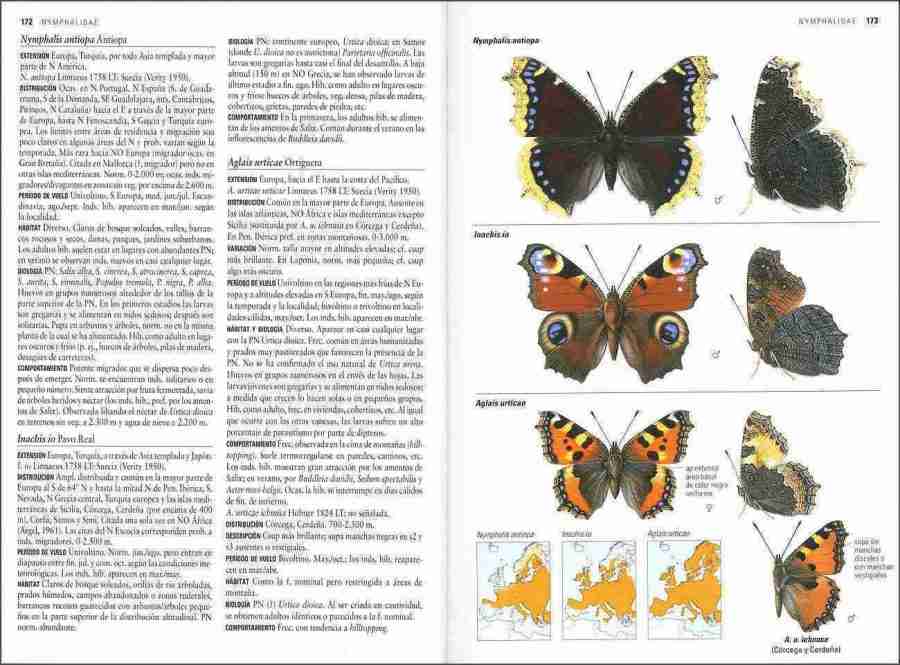 Mariposas de España y Europa sample page