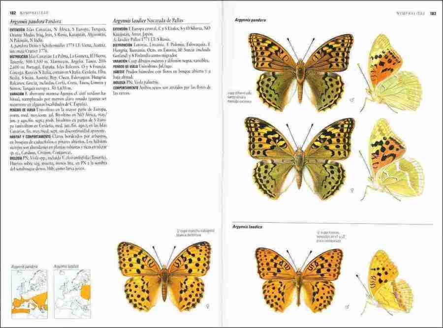 Mariposas de España y Europa sample page