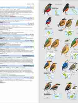 HBW and BirdLife International Illustrated Checklist of the Birds of the World. Volume 2 sample page