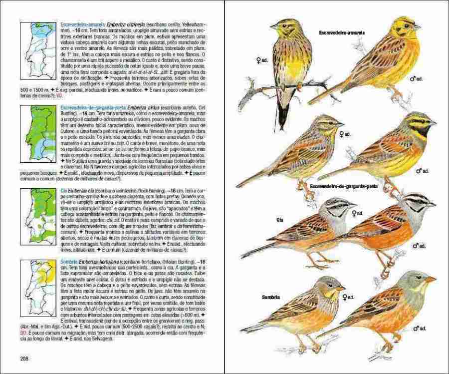 Aves de Portugal sample page