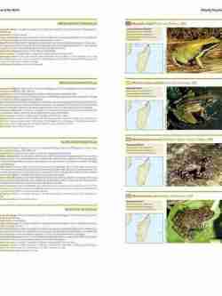 Threatened Amphibians of the World sample page