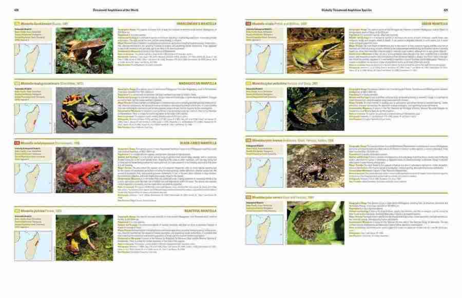 Threatened Amphibians of the World sample page