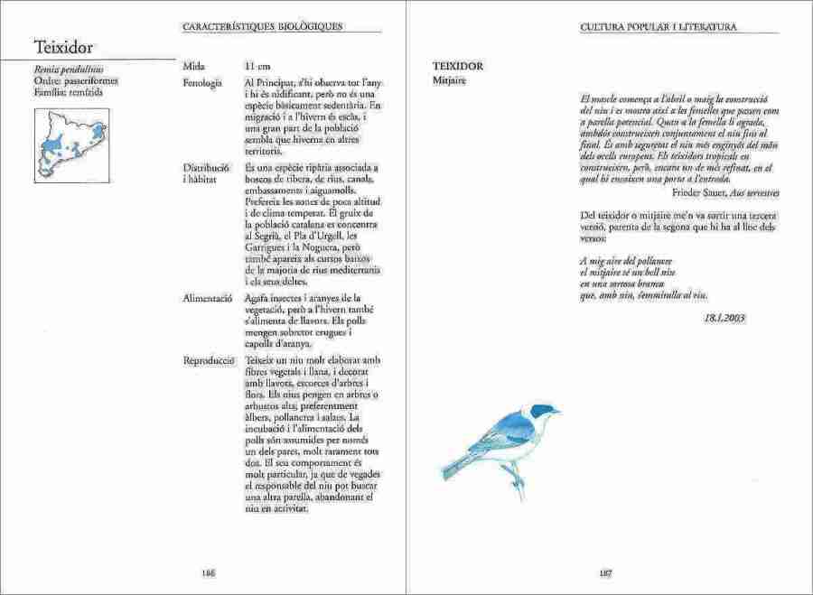 Aucells sample page