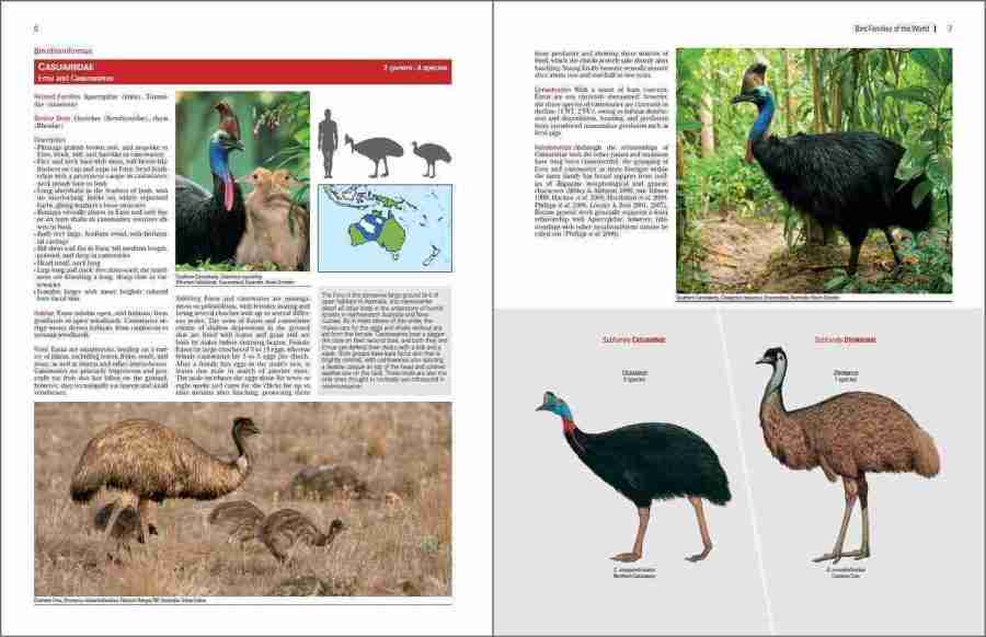 Bird Families of the World sample page