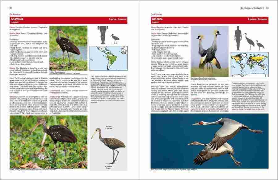 Bird Families of the World sample page