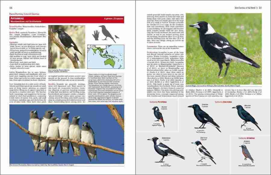 Bird Families of the World sample page