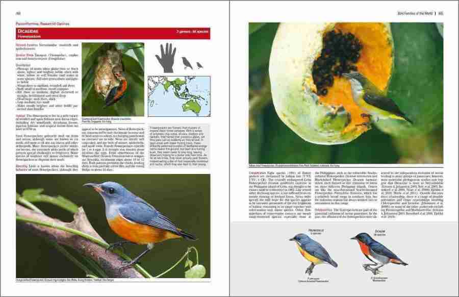 Bird Families of the World sample page