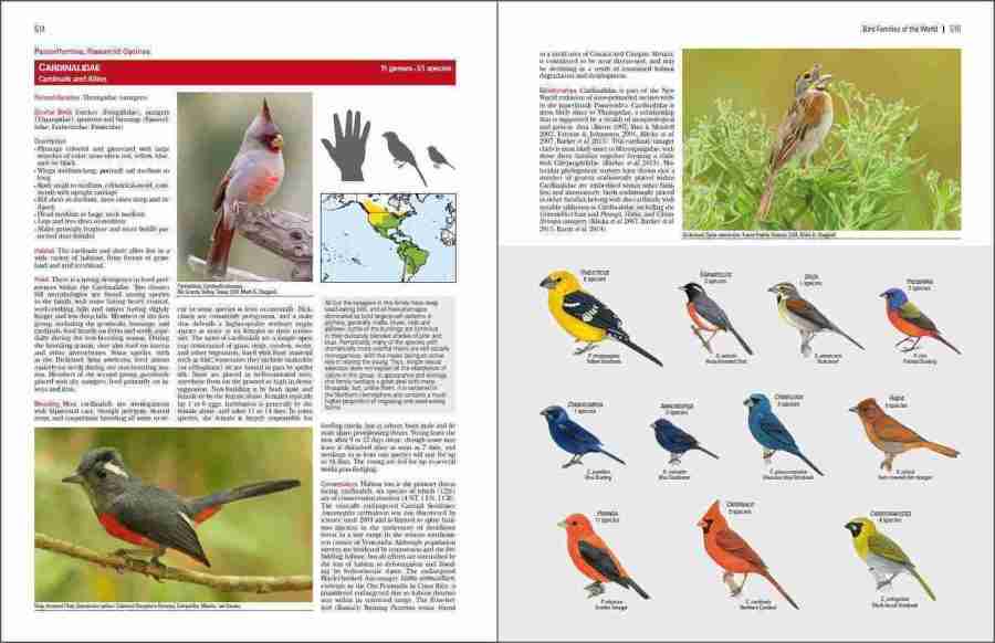 Bird Families of the World sample page