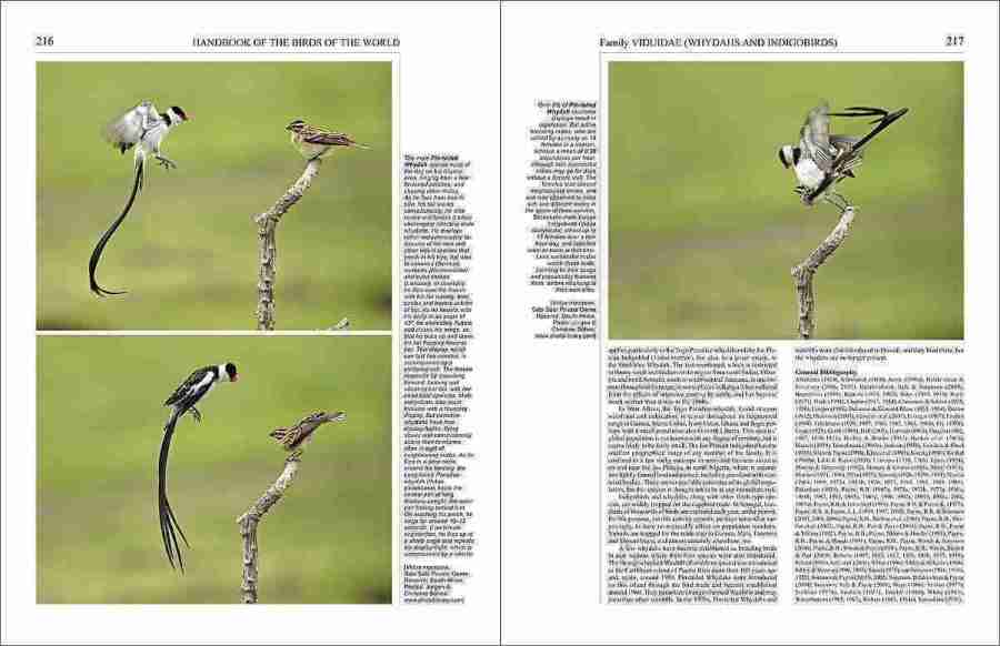 Handbook of the Birds of the World - Volume 15 sample page