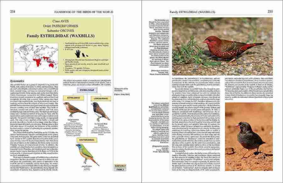 Handbook of the Birds of the World - Volume 15 sample page