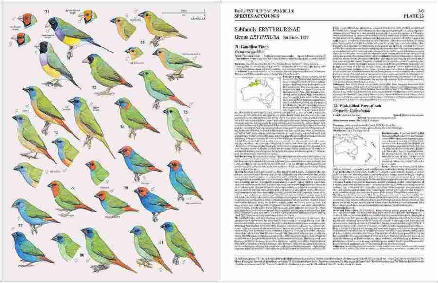 Handbook of the Birds of the World - Volume 15 sample page