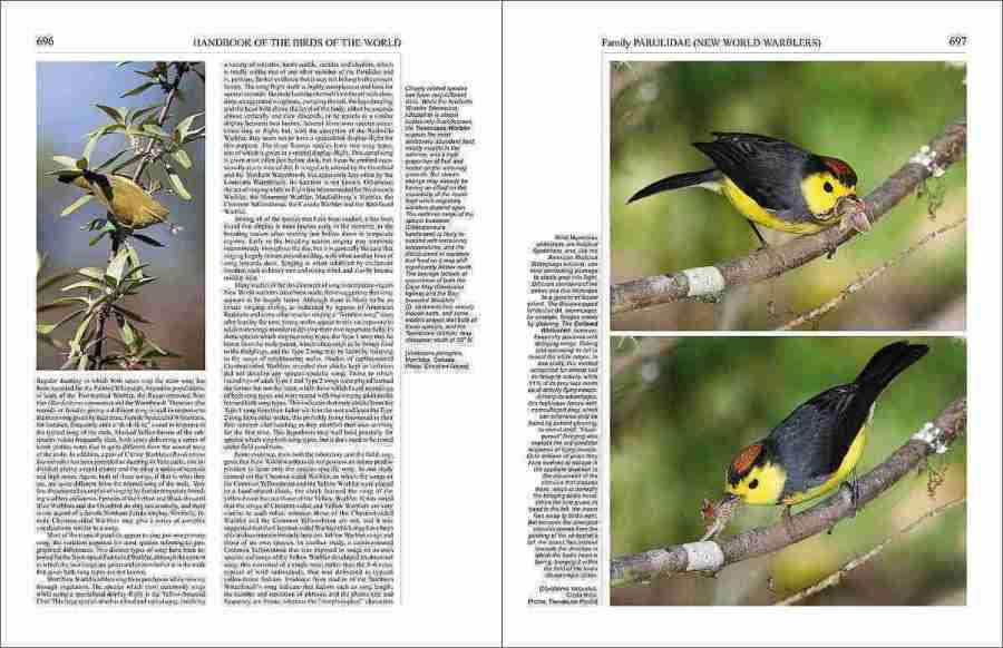 Handbook of the Birds of the World - Volume 15 sample page