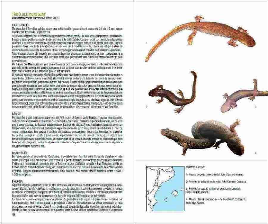 Amfibis i rèptils de Catalunya, País Valencià i Balears sample page