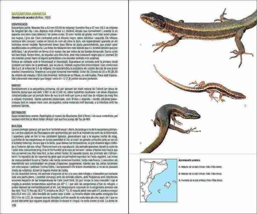 Amfibis i rèptils de Catalunya, País Valencià i Balears sample page