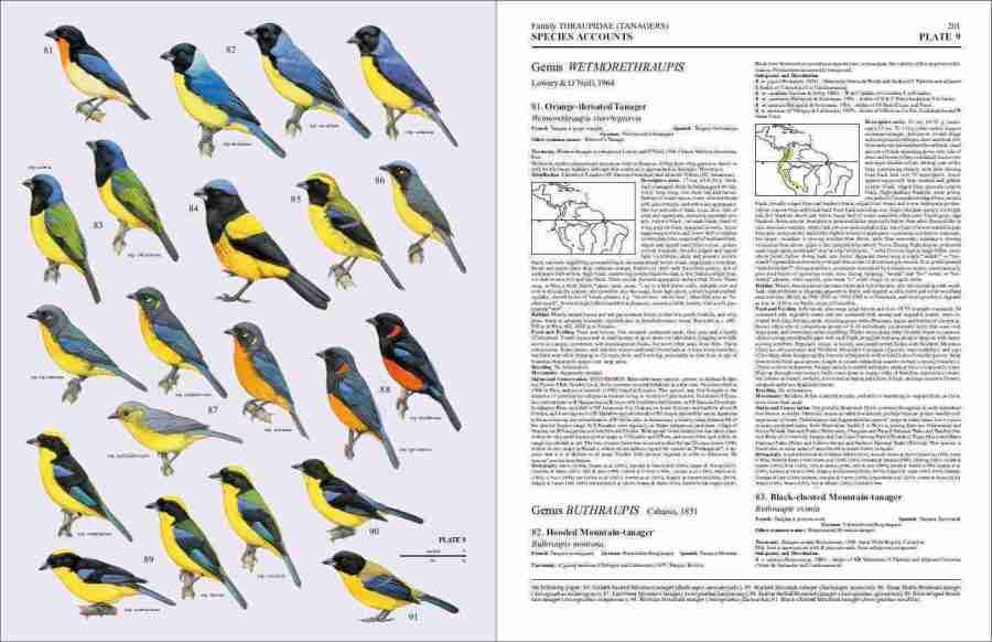 Handbook of the Birds of the World - Volume 16 sample page