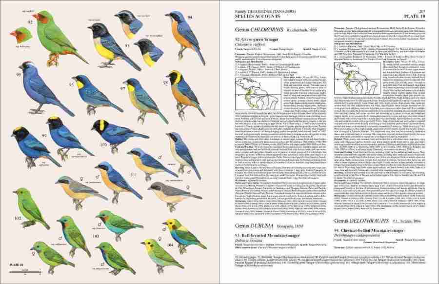 Handbook of the Birds of the World - Volume 16 sample page