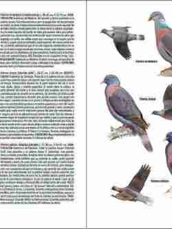 Aves de Macaronesia sample page