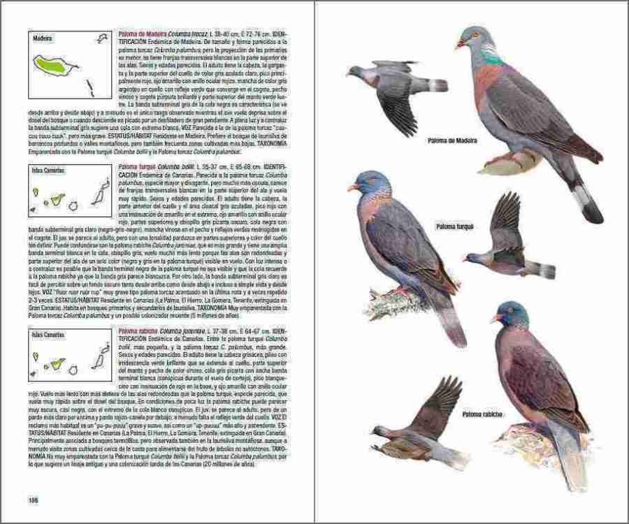 Aves de Macaronesia sample page